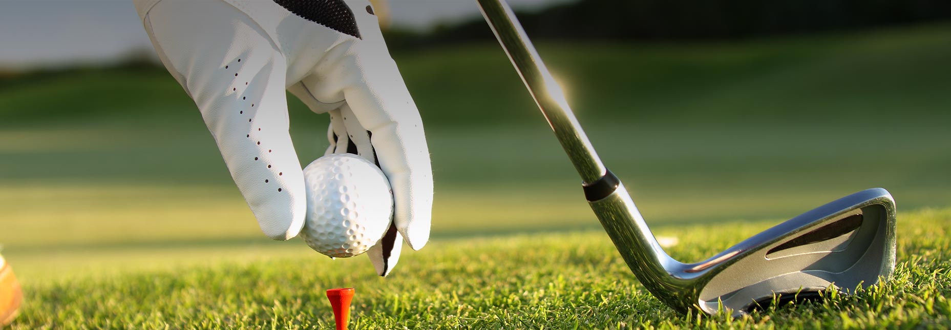 COB Golf Club Shop -COB Golf Club Shop img3